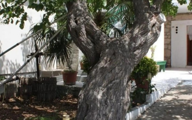 Tonci - 30 m from beach - A2 Gori (2+1)