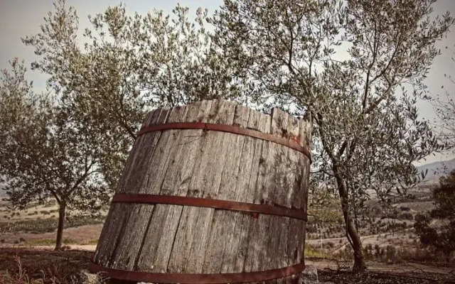 Tenuta Lochiri