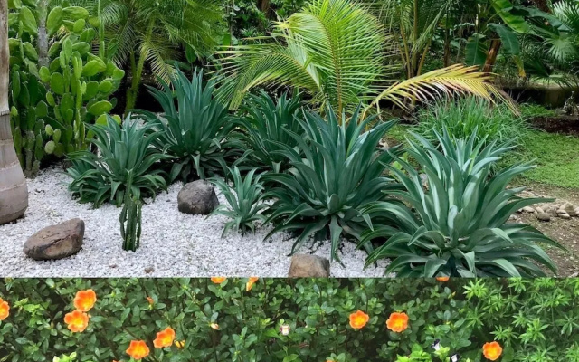 la casa los suenos