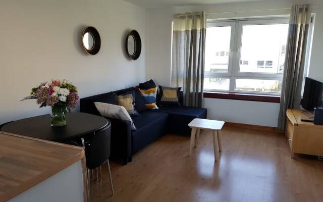 Апартаменты Dragon - Kennedy Apartment 1 Bedroom Home комната для гостей