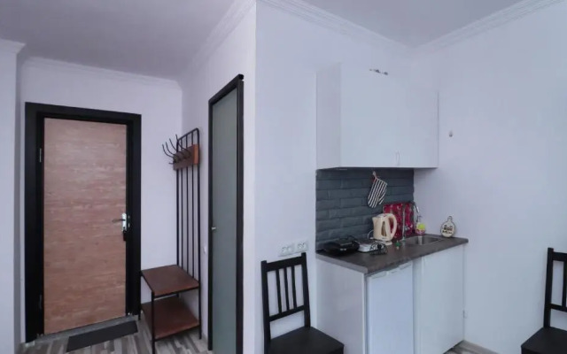 Ski In Out Apartment In New Gudauri For 4