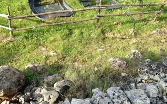 Appartamento in Ostuni
