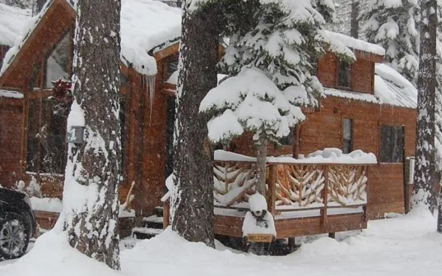 Knotty Pine Cabin