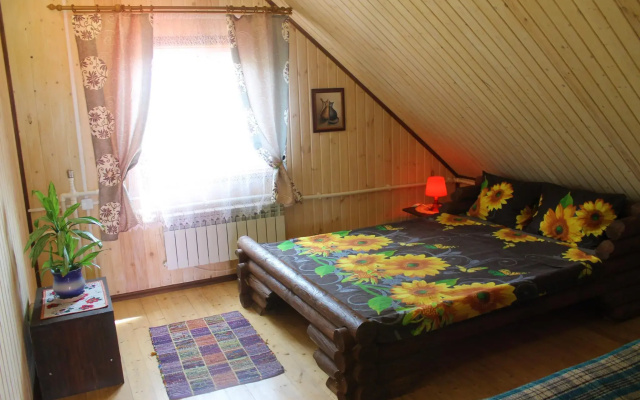 Подсолнух