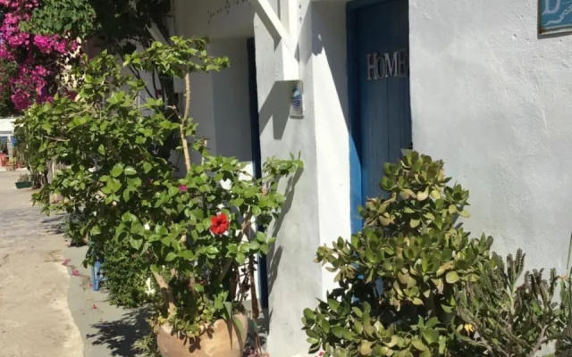 Chez Cecile Home