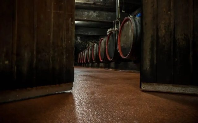 Weingut-Pension Tiliahof