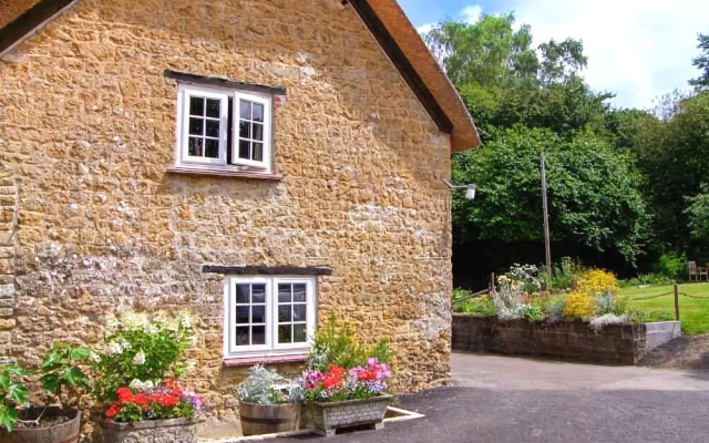 The Thatch