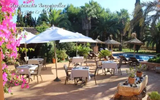 Apartment Bougaivillea by Finca Es Torrent