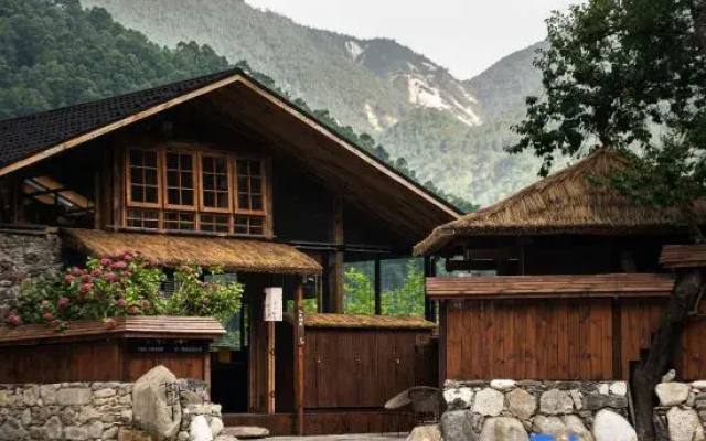 Under the Tree Art Hot Spring Homestay