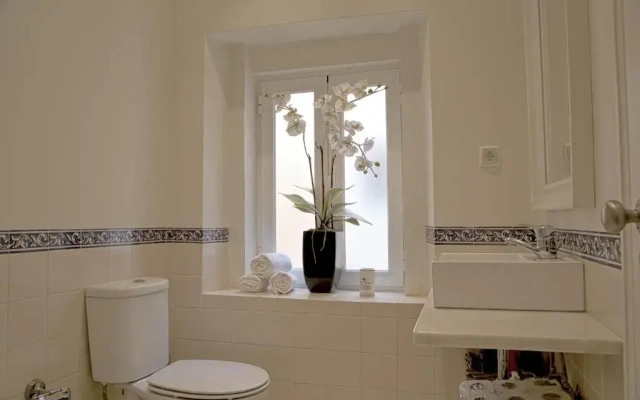 Sunny São Paulo Home