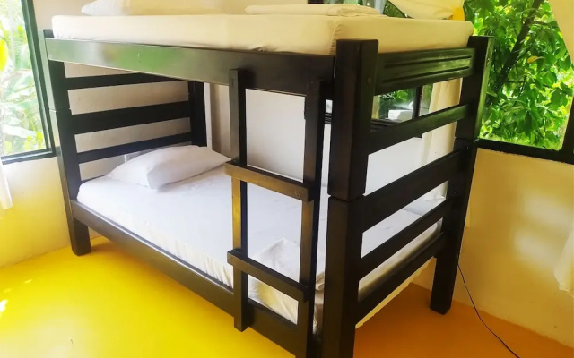 amalaya hostel
