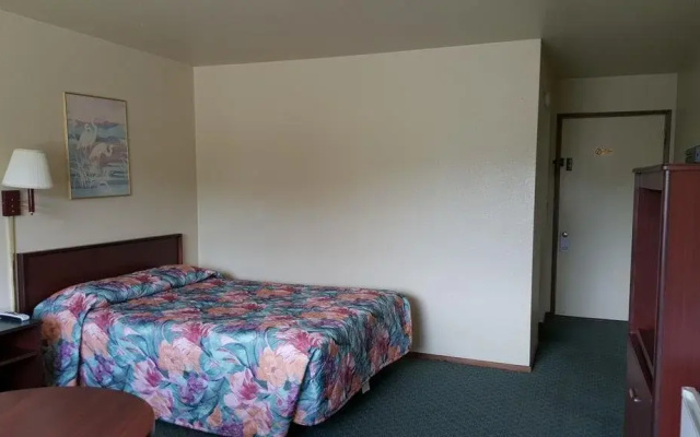 Safari Inn