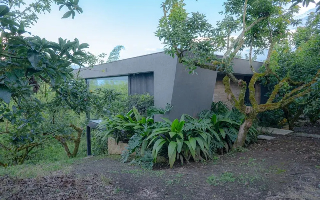 Palta Eco Haven Hotel