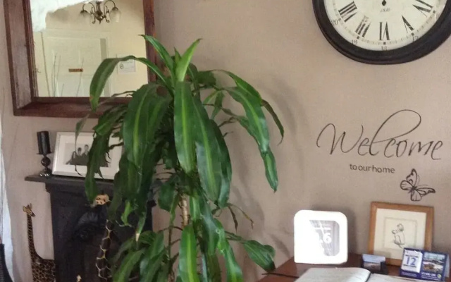 Elements B&B