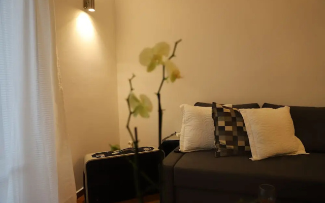 Lovely New Penthouse With Terrace