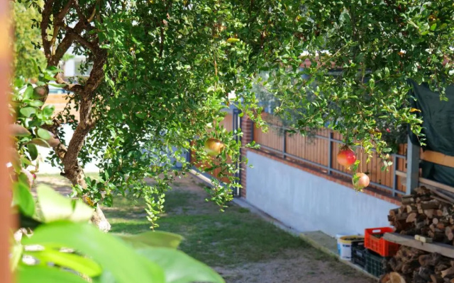 Stela Apartments