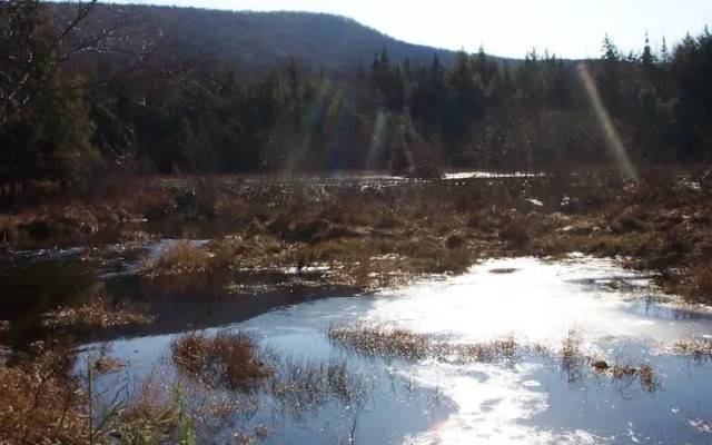 Moon Shadow Lodge