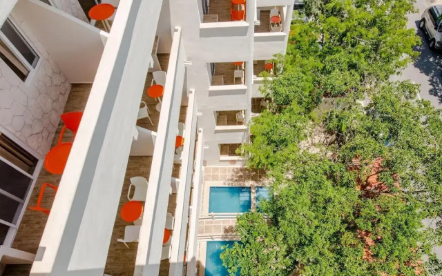 Casa del Árbol Condo
