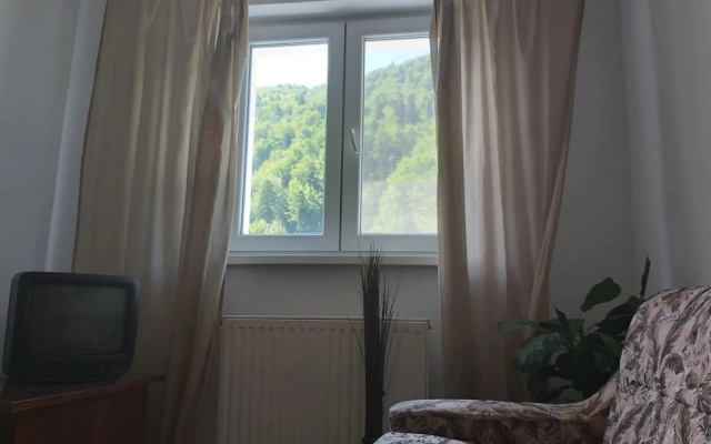 Apartment Valea Azugii