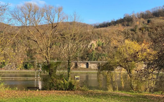 Direkter Moselblick I Altbau I 4 Personen I Terrasse