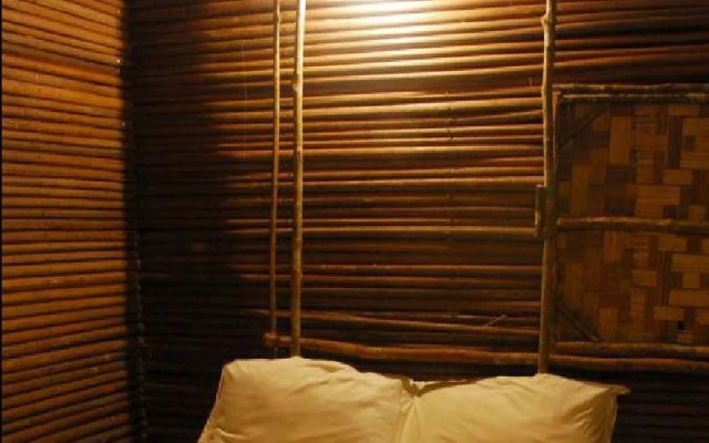 Terras Tree House