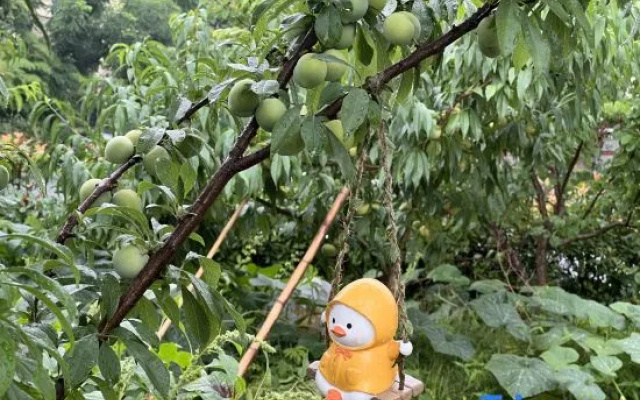 Manyue Homestay (Anji Tianyuan Jialebi Amusement Park)
