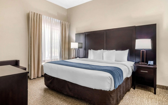 Comfort Inn & Suites Atlanta/Smyrna