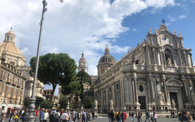 catalogImage