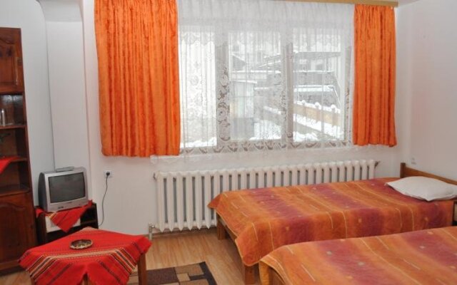 Hotel Alpin Bansko Банско комната для гостей