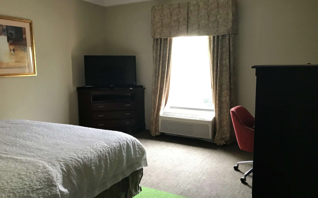 Hampton Inn Vidalia