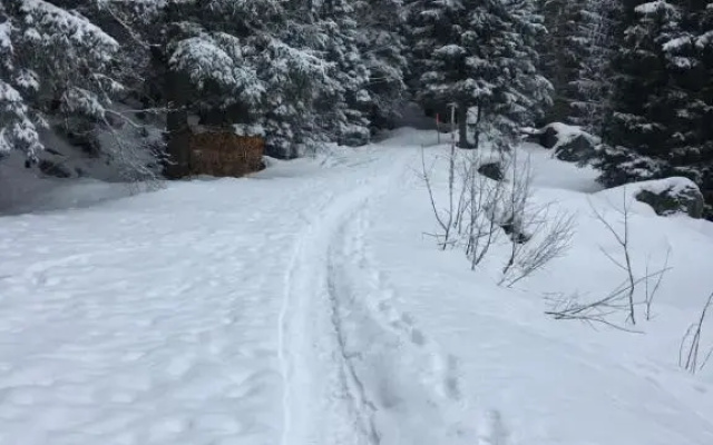 Haus Steiner