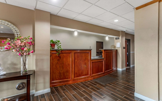 Comfort Inn & Suites Carbondale University Area
