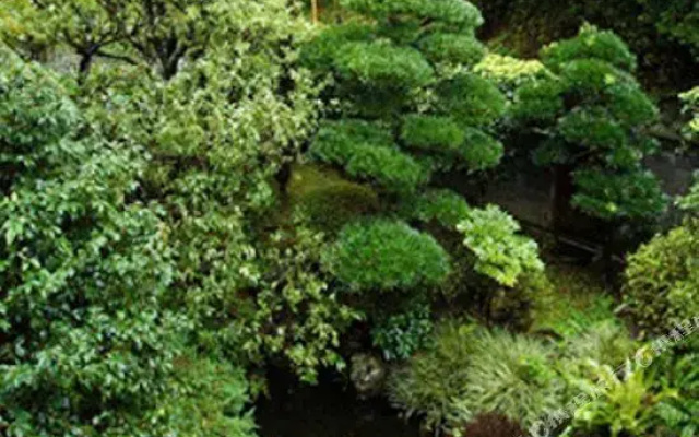 Ito Onsen Suihoen