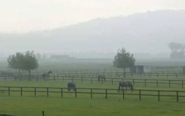 B&Logies Au-Galop