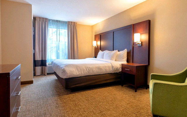 Comfort Suites Goodyear - West Phoenix