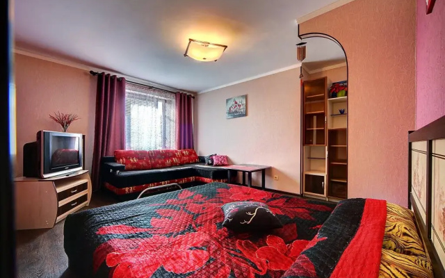 U Ledovogo Dvortsa Apartments