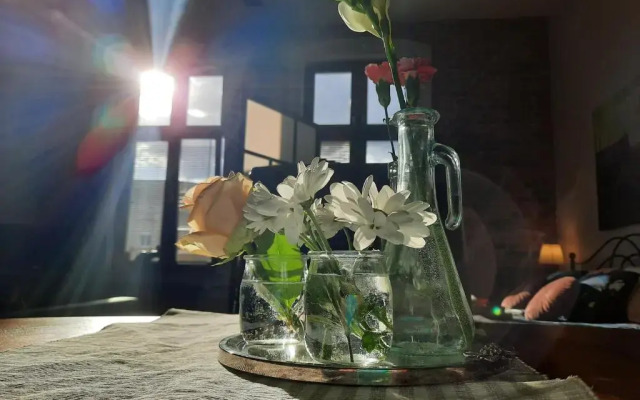 Apartamenty Bydgostia