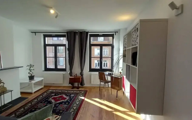 Charming Apartment at Heart of Brussels-marolles