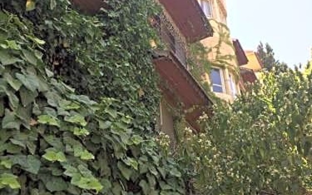 Shepherd Hotel вид на фасад