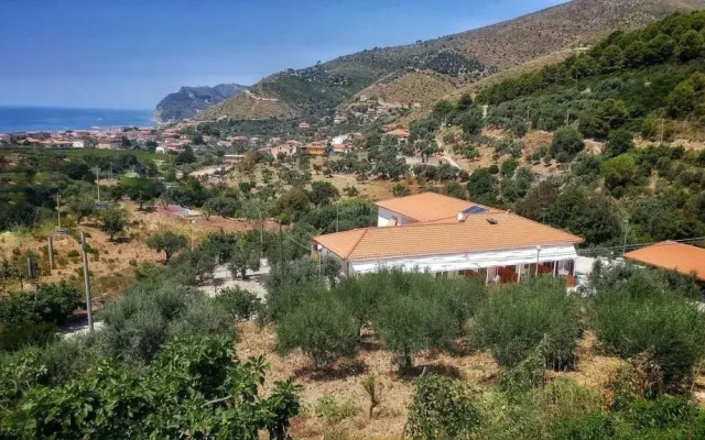 Tenuta Marga