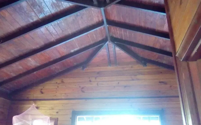 3 Rivers & Rosalie Forest Eco Lodge