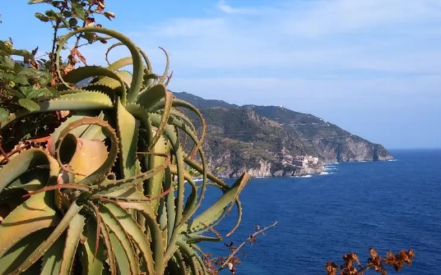 Appartamento La Spezia Cinque Terre