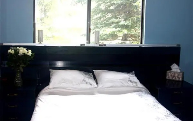 Powderwood Ski Condo