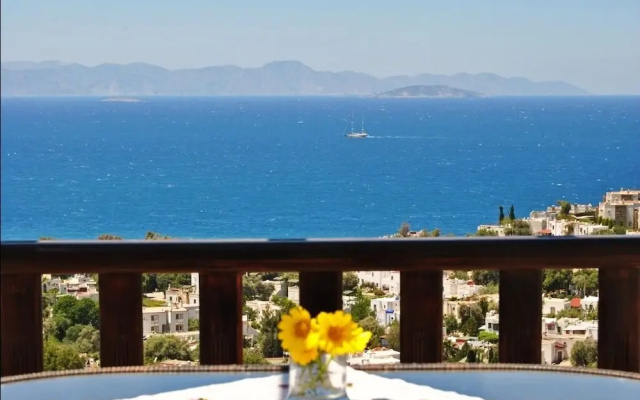 BO027 Bodrum