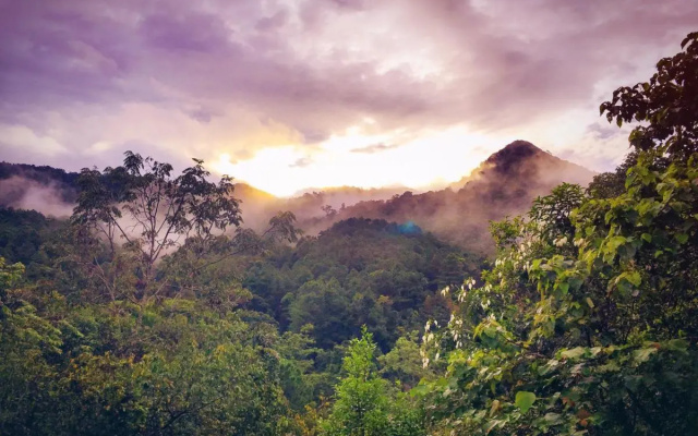 Paradise Wild Hills