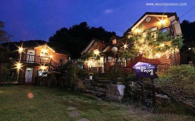 Yangpyeong Maison Deu Ciel Pension