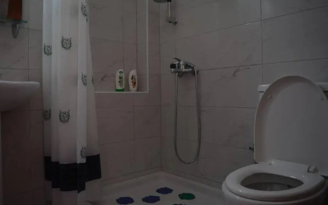 Olive apartment