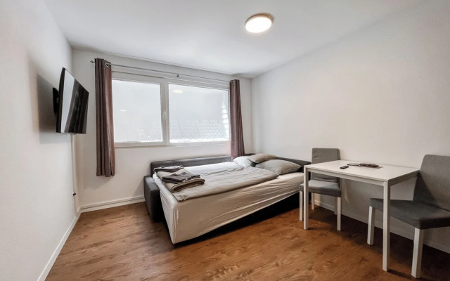 Lovely 1-bed Apartment in Saas-fee