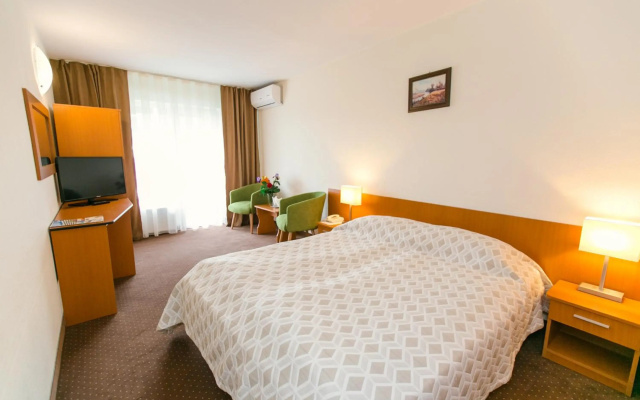 Hotel Poienita