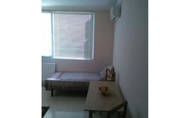 Galo - Hostel